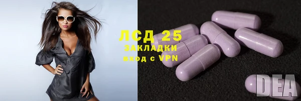 ALPHA PVP Каменка