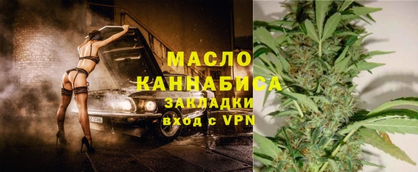 ALPHA PVP Каменка