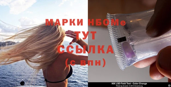 ALPHA PVP Каменка