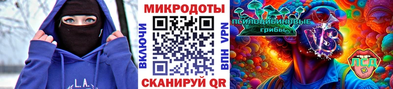 МЕГА ссылки  где найти наркотики  Каменка  Галлюциногенные грибы мухоморы 